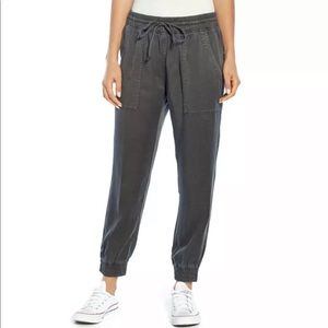 Gap Tencel Jogger NWT